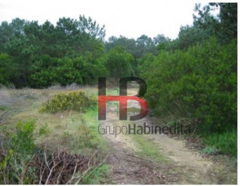 Lote de Terreno  Venda em Torreira,Murtosa