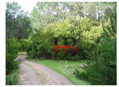 Lote de Terreno  Venda em Torreira,Murtosa