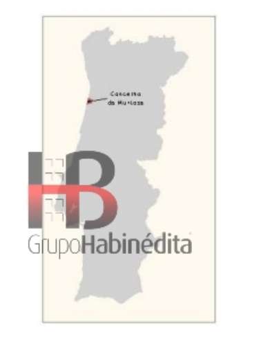 Lote de Terreno  Venda em Torreira,Murtosa