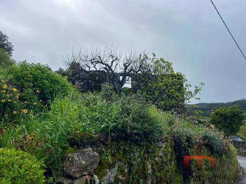 Moradia T3 Venda em Cambra e Carvalhal de Vermilhas,Vouzela