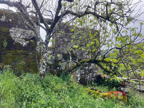 Moradia T3 Venda em Cambra e Carvalhal de Vermilhas,Vouzela