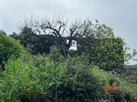 Moradia T3 Venda em Cambra e Carvalhal de Vermilhas,Vouzela