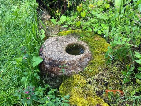 Moradia T3 Venda em Cambra e Carvalhal de Vermilhas,Vouzela