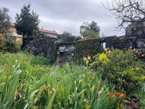 Moradia T3 Venda em Cambra e Carvalhal de Vermilhas,Vouzela