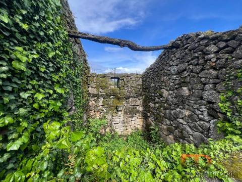 Moradia T3 Venda em Cambra e Carvalhal de Vermilhas,Vouzela