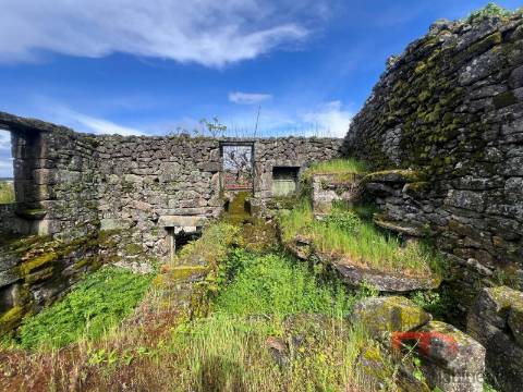 Moradia T3 Venda em Cambra e Carvalhal de Vermilhas,Vouzela