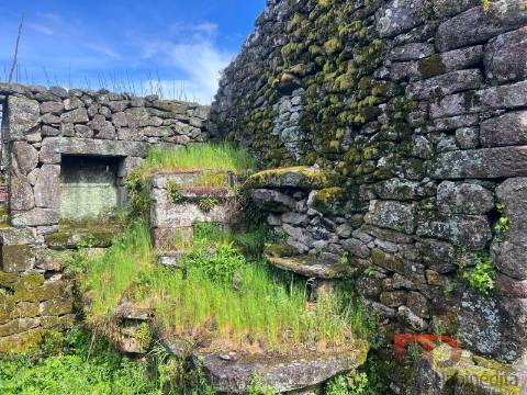 Moradia T3 Venda em Cambra e Carvalhal de Vermilhas,Vouzela