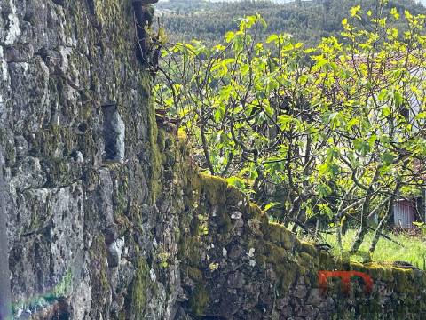 Moradia Rústica T3 Venda em Cambra e Carvalhal de Vermilhas,Vouzela