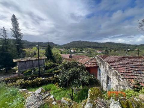 Moradia Rústica T3 Venda em Cambra e Carvalhal de Vermilhas,Vouzela