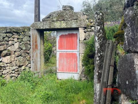 Moradia Rústica T3 Venda em Cambra e Carvalhal de Vermilhas,Vouzela