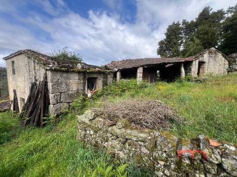 Moradia Rústica T3 Venda em Cambra e Carvalhal de Vermilhas,Vouzela