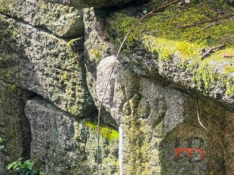 Moradia Rústica T3 Venda em Cambra e Carvalhal de Vermilhas,Vouzela