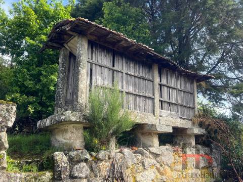 Moradia Rústica T3 Venda em Cambra e Carvalhal de Vermilhas,Vouzela