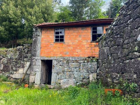 Moradia Rústica T3 Venda em Cambra e Carvalhal de Vermilhas,Vouzela