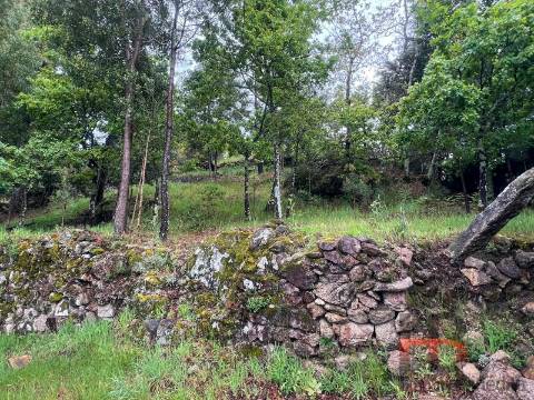 Moradia Rústica T3 Venda em Cambra e Carvalhal de Vermilhas,Vouzela