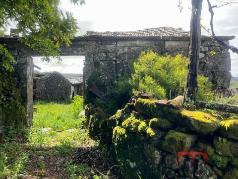 Moradia Rústica T3 Venda em Cambra e Carvalhal de Vermilhas,Vouzela