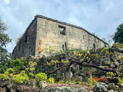 Moradia Rústica T3 Venda em Cambra e Carvalhal de Vermilhas,Vouzela