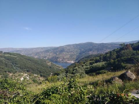 Terreno Misto  Venda em Gove,Baião