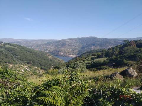 Terreno Misto  Venda em Gove,Baião