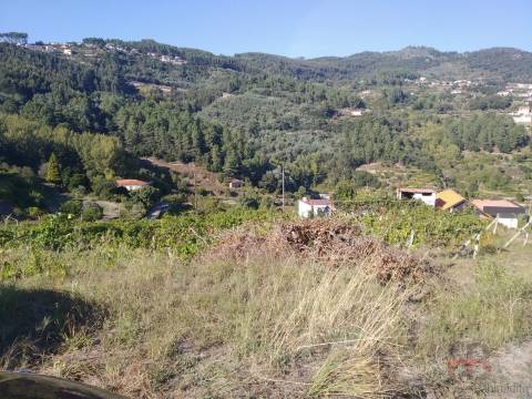 Terreno Misto  Venda em Gove,Baião