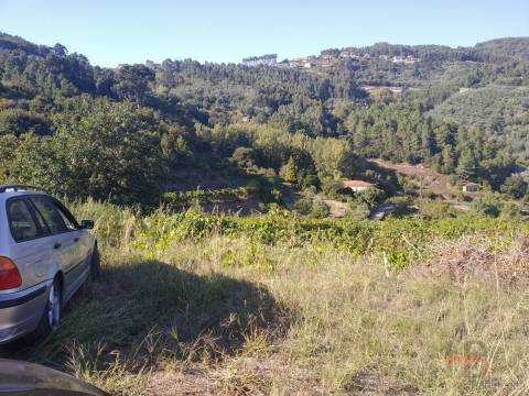 Terreno Misto  Venda em Gove,Baião