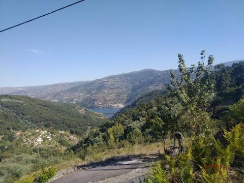 Terreno Misto  Venda em Gove,Baião