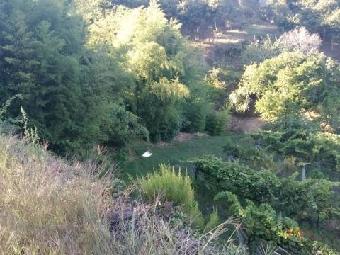 Terreno Misto  Venda em Gove,Baião