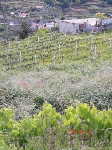 Terreno Misto  Venda em Gove,Baião