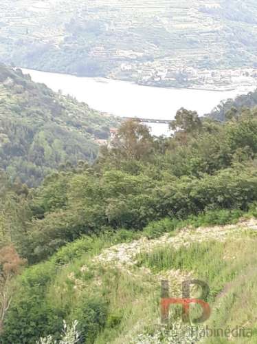 Terreno Misto  Venda em Gove,Baião