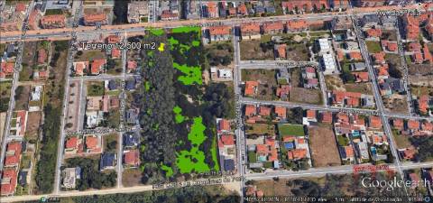 Terreno Para Construção  Venda em Esmoriz,Ovar