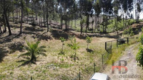 Lote de Terreno  Venda em Sobreira,Paredes
