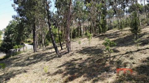 Lote de Terreno  Venda em Sobreira,Paredes