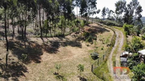 Lote de Terreno  Venda em Sobreira,Paredes