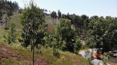 Lote de Terreno  Venda em Sobreira,Paredes