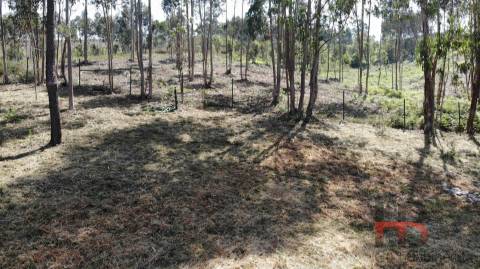 Lote de Terreno  Venda em Sobreira,Paredes
