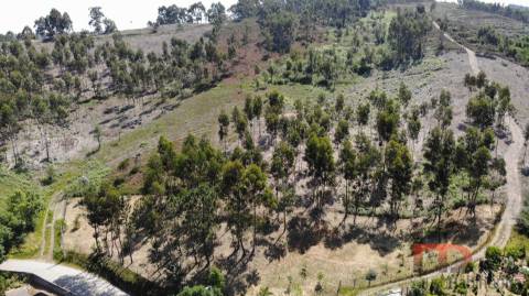 Lote de Terreno  Venda em Sobreira,Paredes