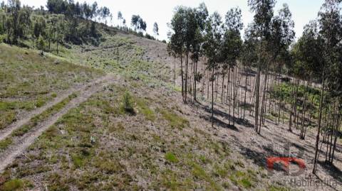 Lote de Terreno  Venda em Sobreira,Paredes