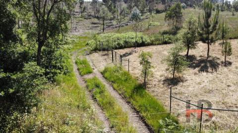 Lote de Terreno  Venda em Sobreira,Paredes