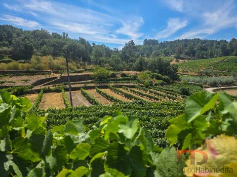 Quintinha T8 Venda em Poiares e Canelas,Peso da Régua