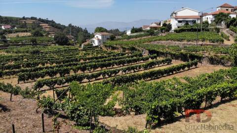 Quintinha T8 Venda em Poiares e Canelas,Peso da Régua