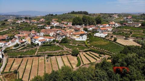 Quintinha T8 Venda em Poiares e Canelas,Peso da Régua