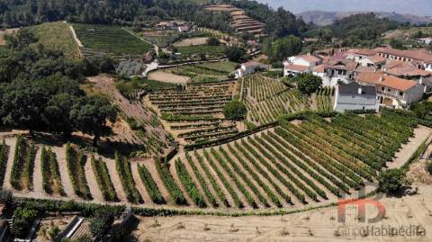 Quintinha T8 Venda em Poiares e Canelas,Peso da Régua