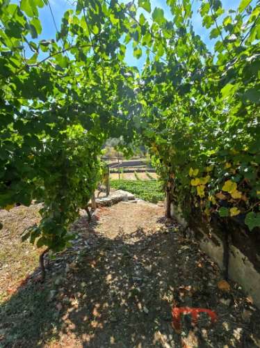 Quintinha T8 Venda em Poiares e Canelas,Peso da Régua