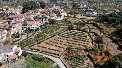 Quintinha T8 Venda em Poiares e Canelas,Peso da Régua