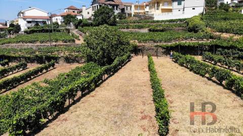 Quintinha T8 Venda em Poiares e Canelas,Peso da Régua
