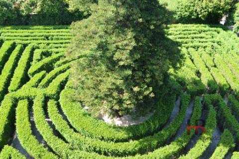 Terreno Para Construção  Venda em Ramalde,Porto