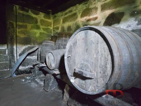 Moradia Rústica T4 Venda em Moldes,Arouca
