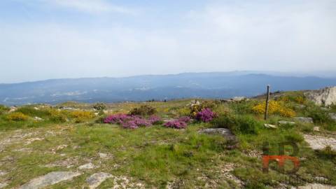 Quintinha T2 Venda em Arcozelo das Maias,Oliveira de Frades