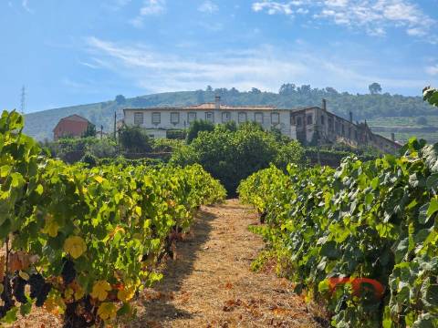 Quinta T8 Venda em Vilarinho dos Freires,Peso da Régua