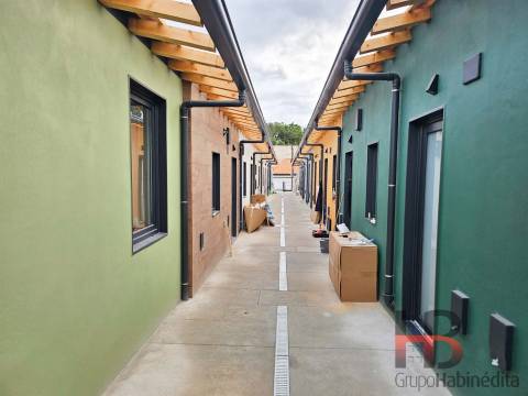 Casa Térrea T1 Reabilitada numa Ilha Típica - Campanhã, Porto